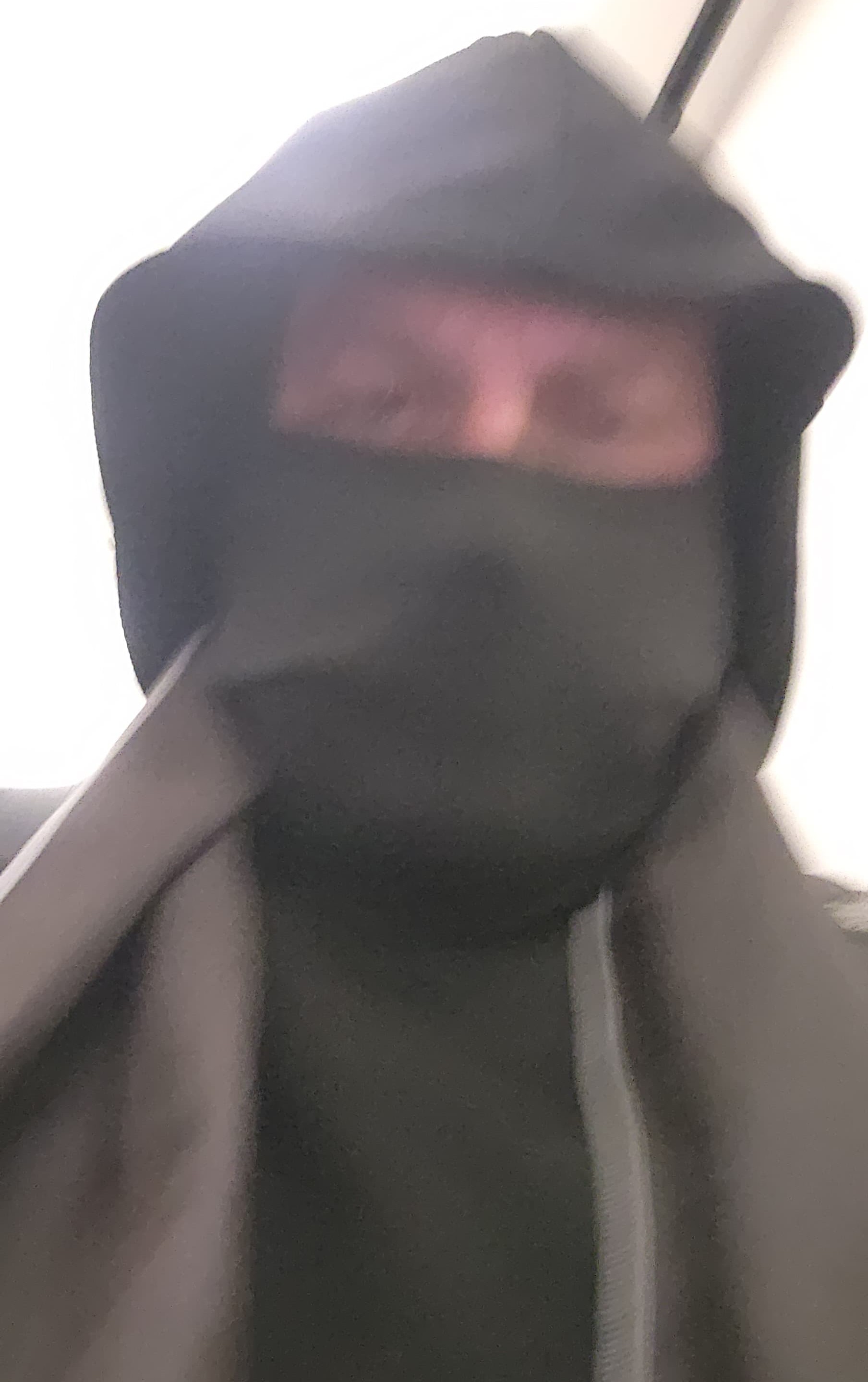 The Lick's Pet Rock Artist