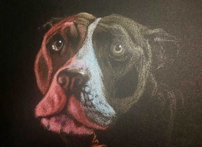 Alec's Illustration Attic