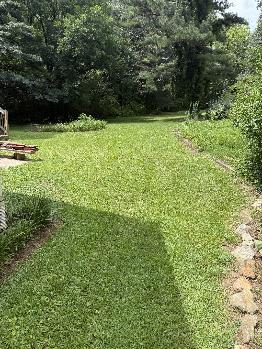 Big Moon Lil Sun Lawnmowing & More