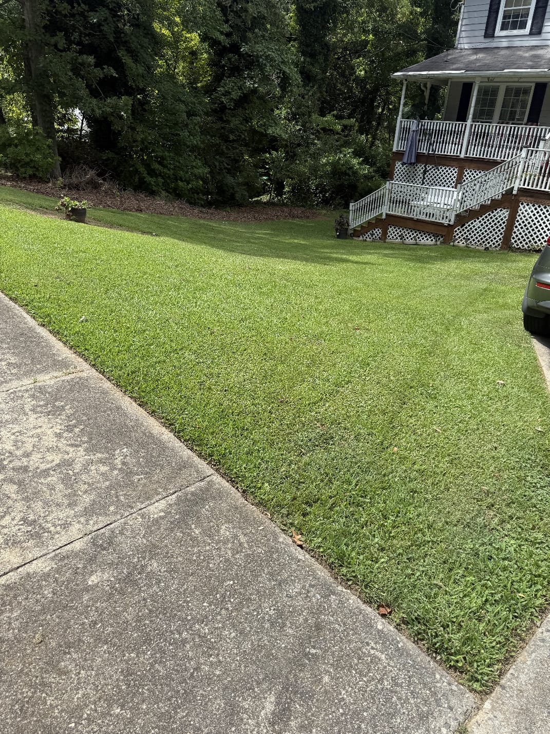 Big Moon Lil Sun Lawnmowing & More